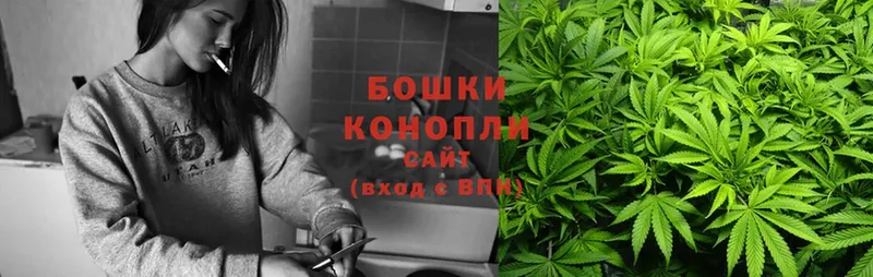 гидра как зайти  Кедровый  Шишки марихуана SATIVA & INDICA 